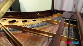 Music store fined Family trying piano broke gathering limits