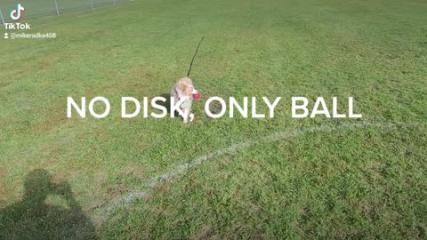 No disc, only ball