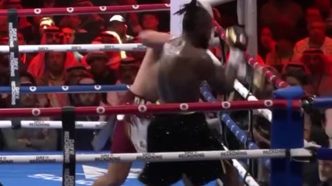 Boxing Fight