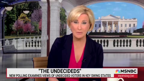 Undecided Panel On 'Morning Joe' Unanimously Says Trump's Economy Is Better For Them