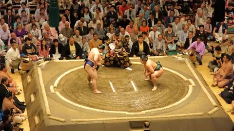Tokyo Sumo Wrestling Matches