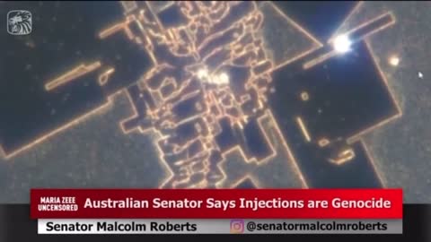 Australia 🇦🇺 - Senator Malcolm Roberts exposes nanotech found in the Covid ‘vaccines’