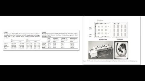 Alt-Tech 137 Space Soy Speculation