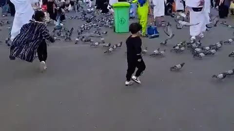 Beautiful View of Haram Shareef Kids Playing with Birds