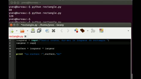 Les premiers éléments de programmation en language Python