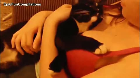 Cats and Boobs with SEXY funny compilation