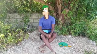 Phineas and ferb intro parody