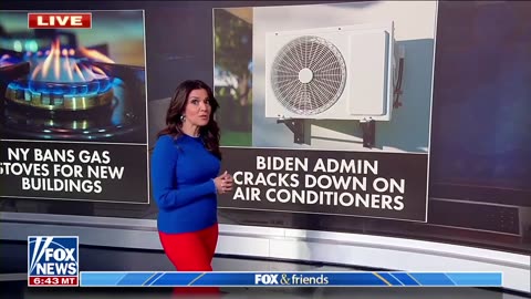 Biden's green energy agenda targeting appliances, household items