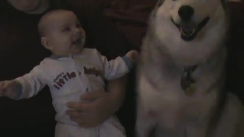 Dog makes baby laugh