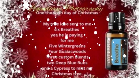 12 Days Of Christmas - Doterra Essential Oils