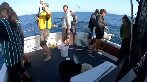 Gold Coast Fishing Charter - Gold Coast, Queensland Australia [Sept-2019]