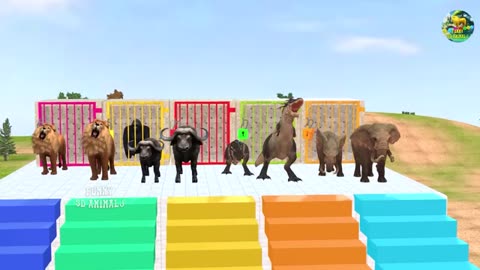 Paint Animals Gorilla Con Tiger Lion Elephant Fountain Crossing Animal Game