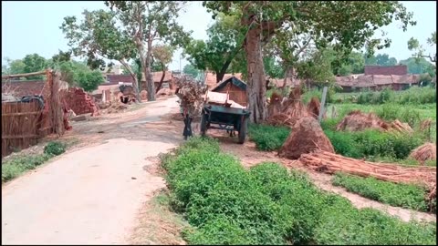 Real Life In India My Village How Gareeb People Work In Rural Area In Uttar Pradesh Watch This Video