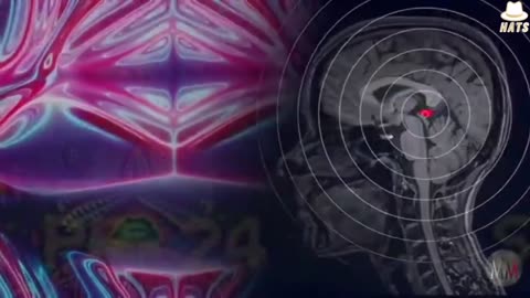 A comprehensive breakdown of the science behind the Pineal Gland (Third eye)