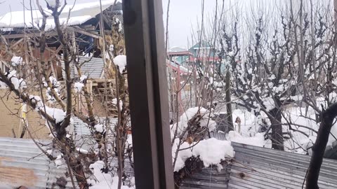 Kashmir snowfall ❄️❄️❄️❄️❄️ how sweet