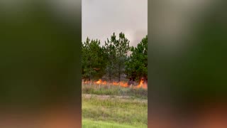 Wildfires torch wide swathes of Argentina