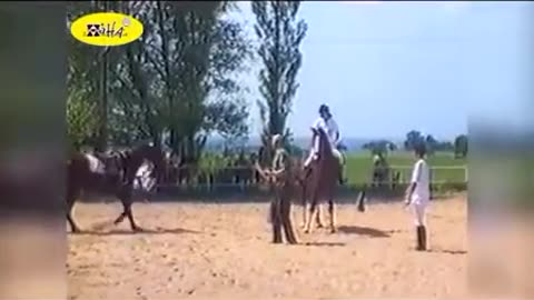Funny Animal Videos Funny Horse Bloopers Best Fail, Funny, Funny