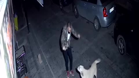 Drunk Guy Dances with Stray Dog in the Middle of the Night