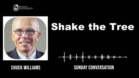 “Shake the Tree” | Sunday Conversation 11/6/2022