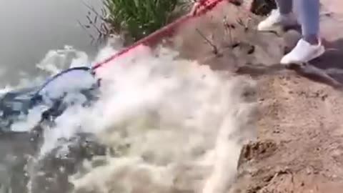 Best Asian Fishing Method in an Amazing Rural Video