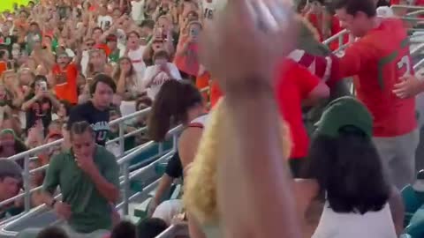 Cat Falls from Mezzanine At Football Game