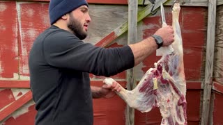 How to Skin & Butcher A Whole Lamb!