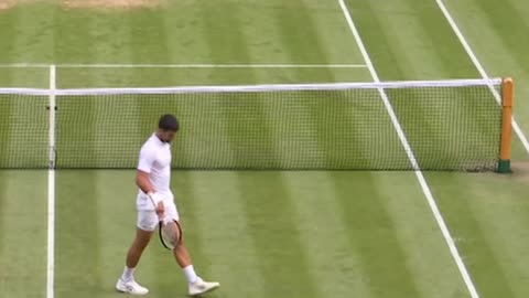 Fantastic performance by Carlos Alcaraz in the Wimbledon tennis final against Djokovic