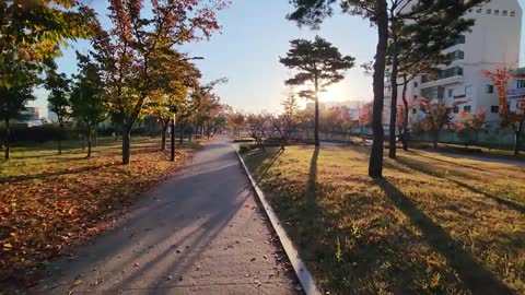 The morning of Jinyoung with the scent of autumn