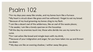 Psalm 102 Daily Devotion