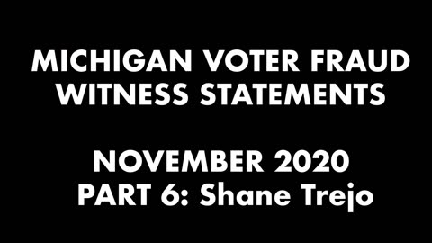 2020 Election – MI Voter Fraud Witness Shane Trejo Describes 3:30am Illegal Ballots