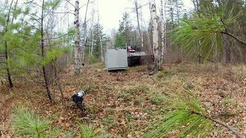 Incredibly Rare Siberian Tiger Release!