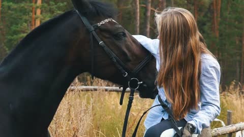 Love and understanding between girl and horse. Redhead girl and brown horse in the forest