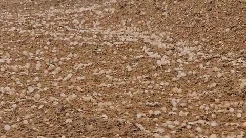 Strange: Hailstorms & stones in several areas of UAE