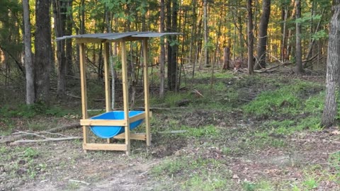 Build Your Own Deer Trough Feeder - Easy and Encouraging DIY Project!