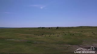 Brown County Pasture & Niobrara River Land | Near Springview, Nebraska | Land Brokers, Inc.
