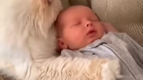 Funny Baby and Cats 🥰 Funny Cat Videos(Hilarious)