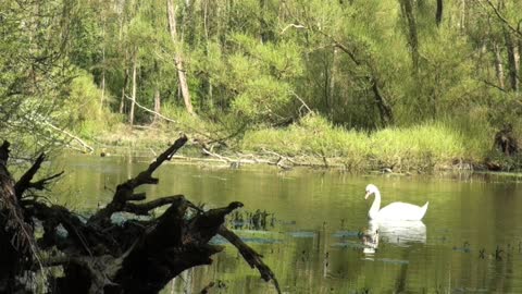 Marais de Pleine Lune - Terre et Vents des 5 Continents