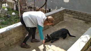 I teach my puppy to crawl