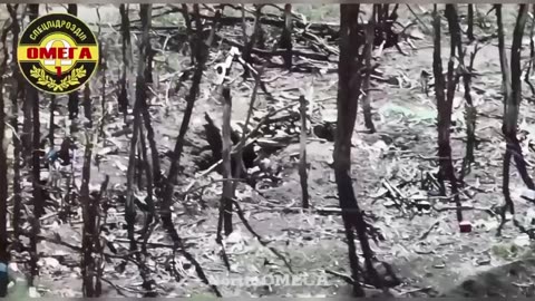 Incredible Detonation of a Landmine Dropped into a Russian Trench
