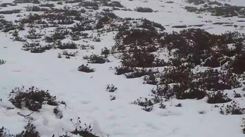 Tungnath track