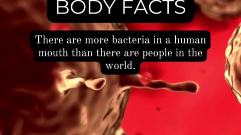 Fascinating Human Body Facts: Things You Never Knew