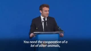 Macron NWO the new world order