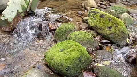 Riacho da cachoeira