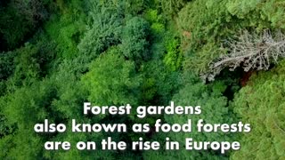 The Food Forest Movement is Spreading Across Europe!