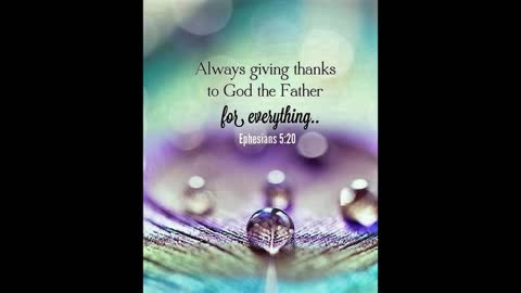 What are you Grateful for today? Give Him Thanks❣