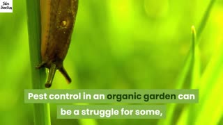 Growing Great Organic Gardens - Organic Gardening 2023