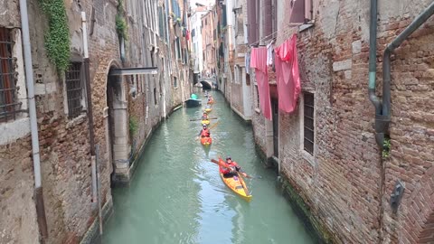 Venice kayakers, May 9, 2024