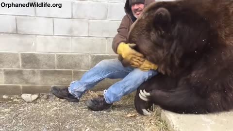 When your bear had a hard day and needs some extra