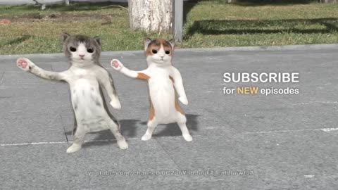Funny 🤣 cat 🐈 dancing video 📸....