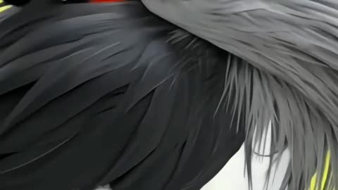 Satisfying Nice Wader Bird ASMR That Makes You Calm Original Satisfying Videos PART - 35